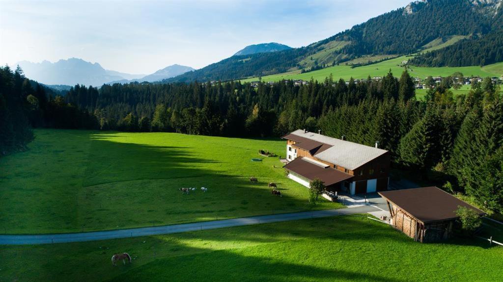 Bauernhof Niederfilzboden Villa Fieberbrunn Eksteriør billede