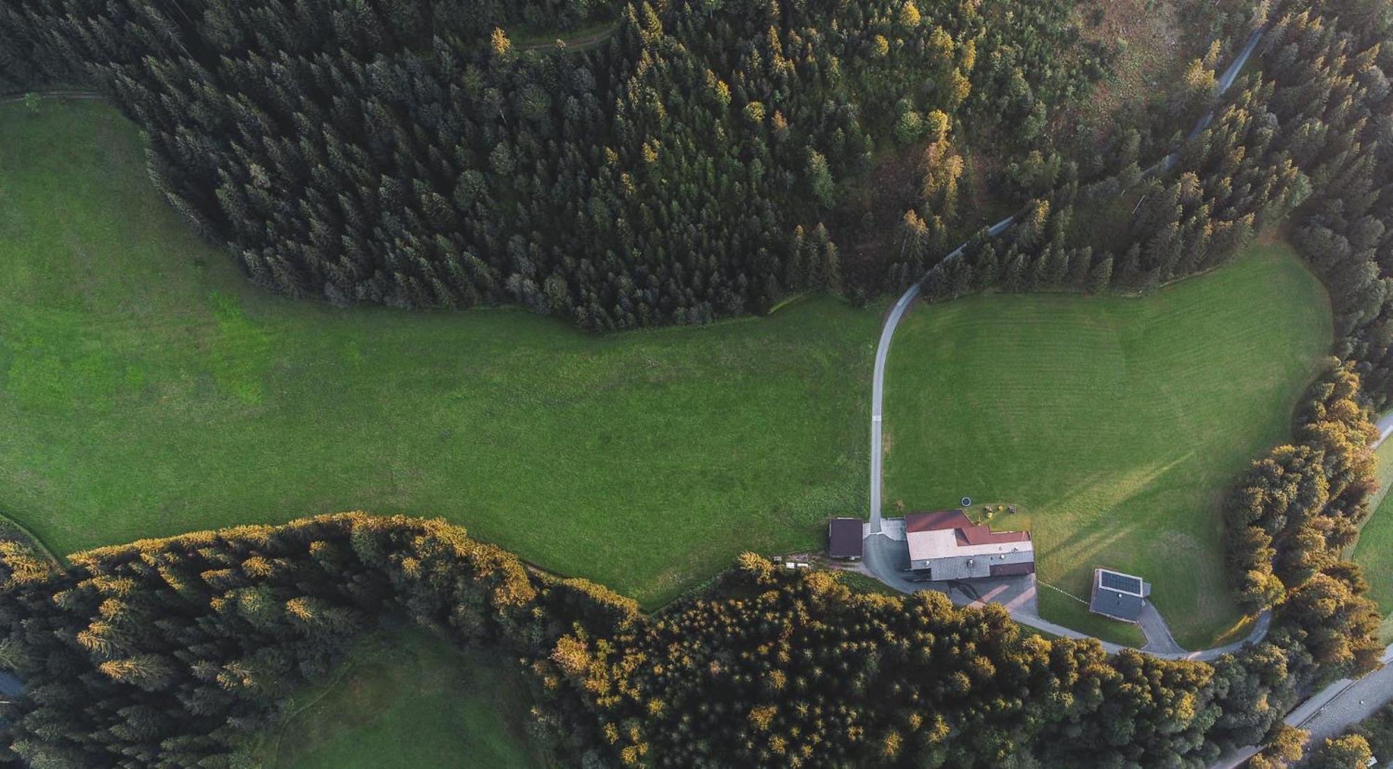 Bauernhof Niederfilzboden Villa Fieberbrunn Eksteriør billede